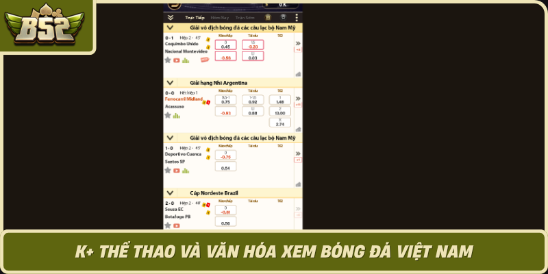 K The Thao Va Van Hoa Xem Bong Da Viet Nam